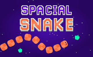 Image Spacial Snake